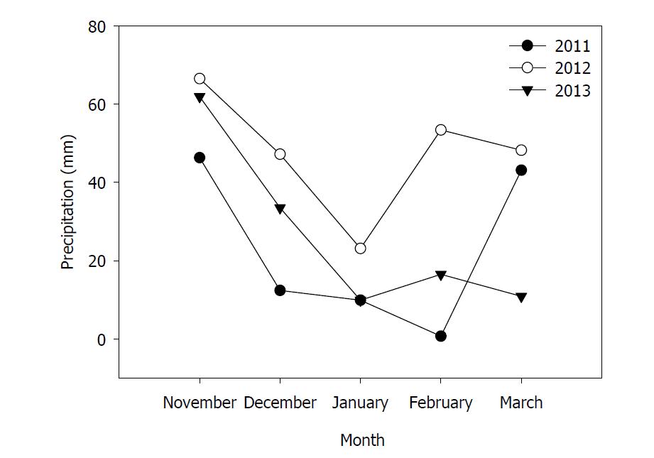 2011년~2013년 동계 월별 강수량