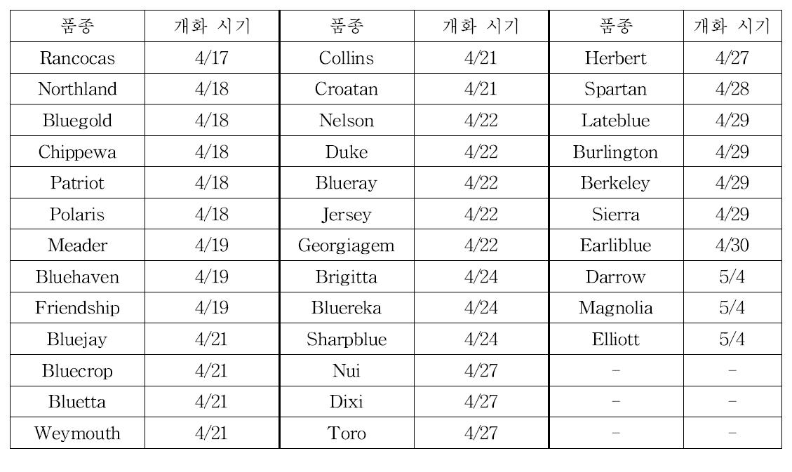 하이부쉬 블루베리의 품종별 개화 시기(수원 기준)