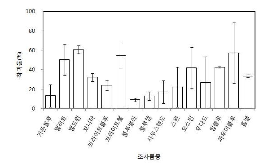 자가수분에 따른 래빗아이 블루베리 품종별 착과율(2012-2013년)