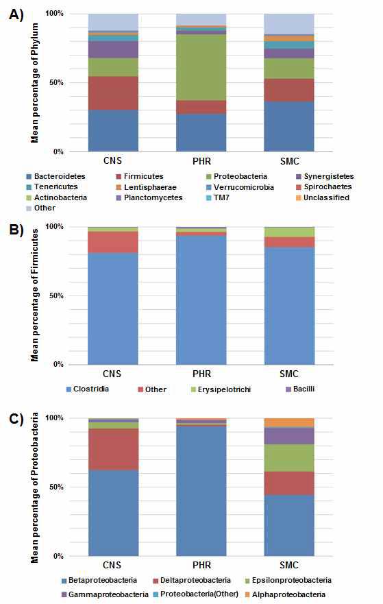 Relative abundance of bacterial 16S rDNA genes from pig slurry samples at the