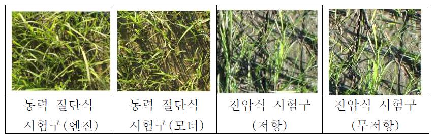 비교 시험구별 시험