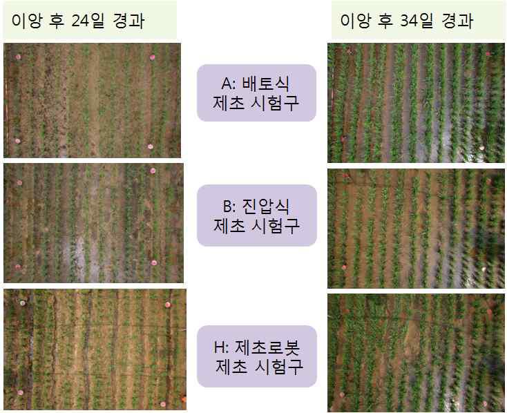 영상을 이용한 구간별 제초 효과 비교