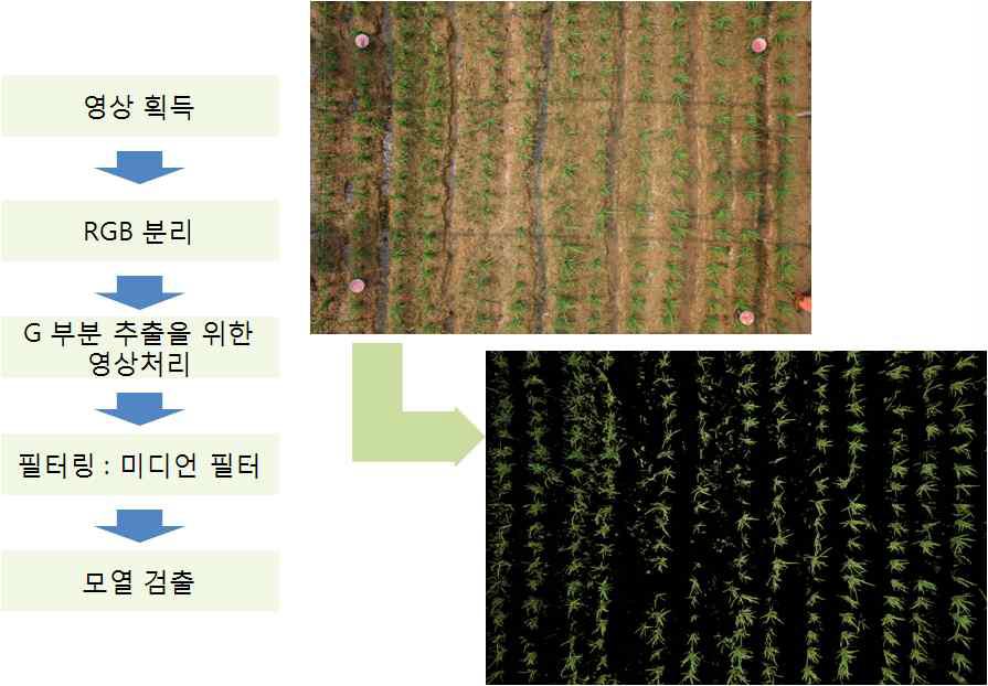 잡초 분포 파악을 위한 영상처리 기법