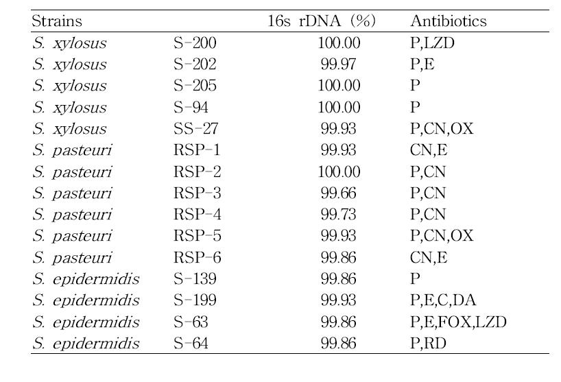 박테리오신 생산 균주들의 항생제 내성 분포