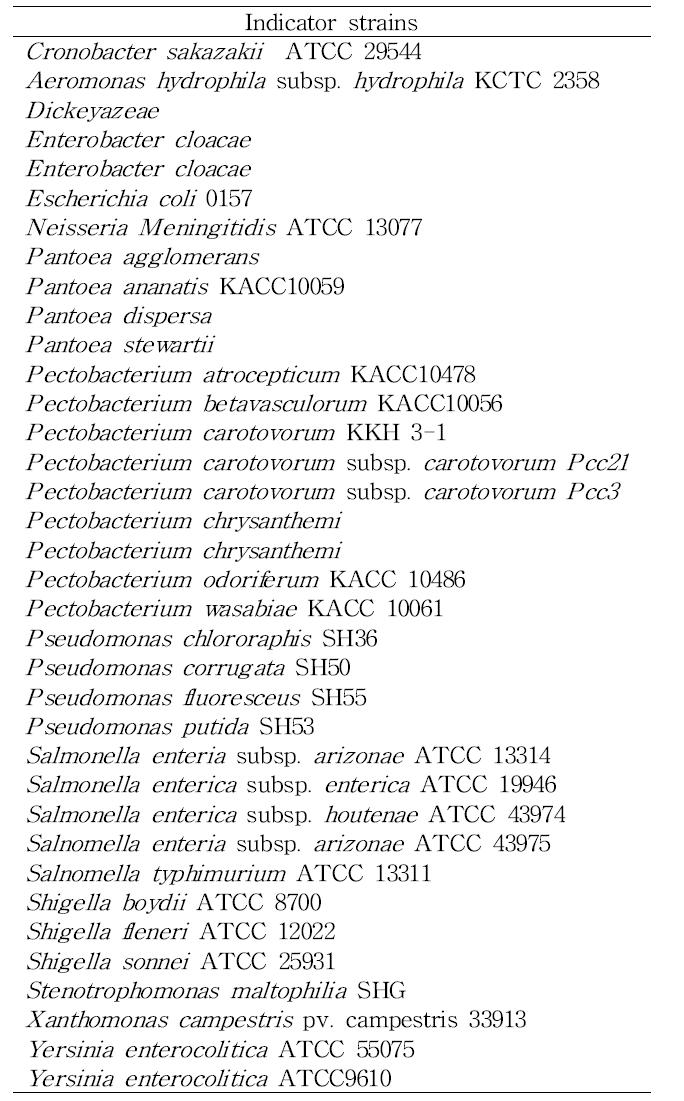 박테리오신 활성 실험에 사용된 그람음성세균의 목록