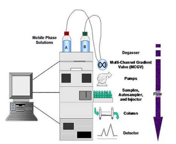 추출된 박테리오신 분획을 세분화 하기위한 HPLC 모식도