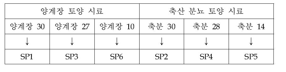 선별된 박테리오파지 lysate