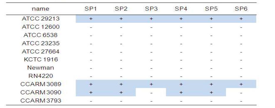 S. aureus standard strains에 대한 박테리오파지의 lysis activity