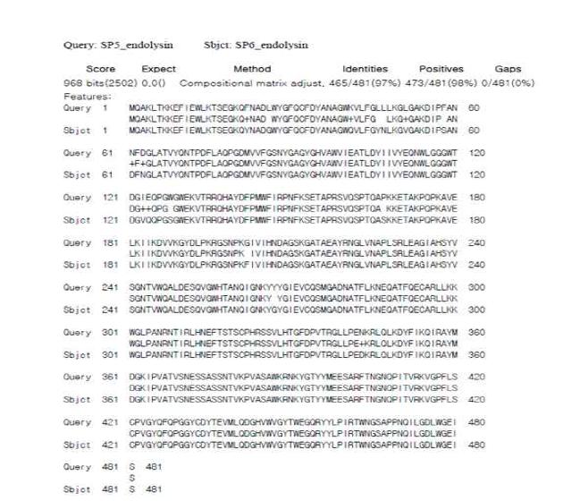SP5와 SP6의 endolysin 코딩 유전자 비교