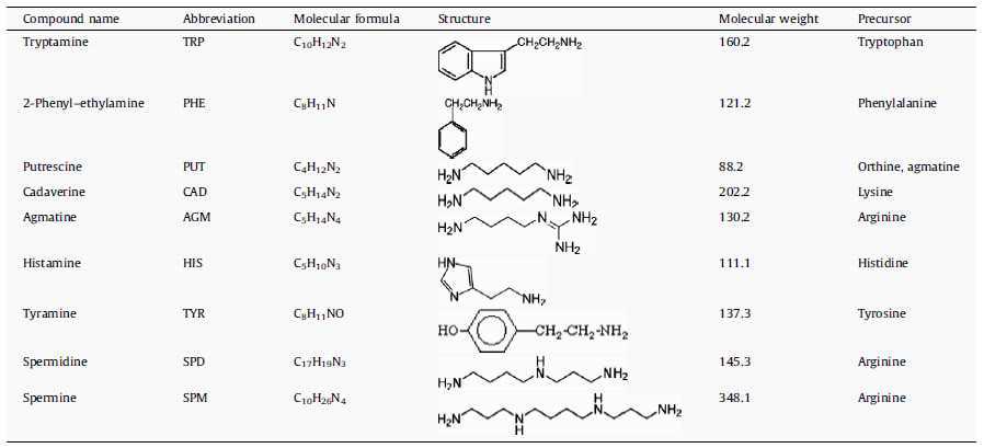 Biogenic amine 종류 및 특성