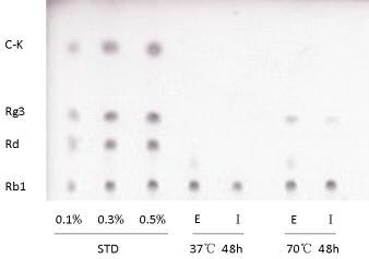 TLC analysis of ginsenoside Rb1 transformation by CH1-1