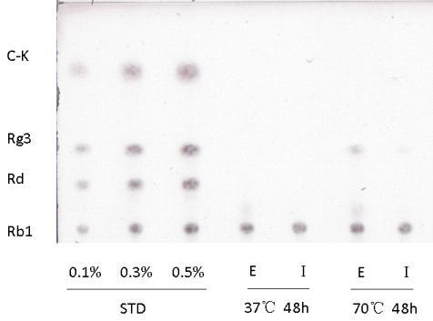TLC analysis of ginsenoside Rb1 transformation by CH1-2