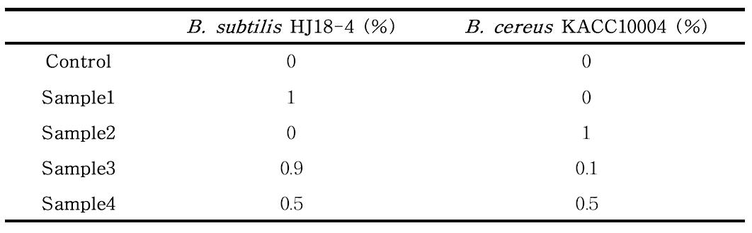 The ratio between B. subtilis HJ18-4 and B. cereus KACC10004 innoculated into cheonggukjang