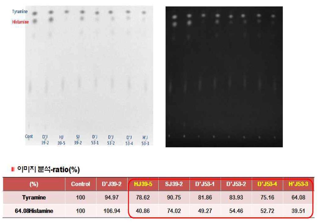 Screening the biogenic amines degradation of isolated bacteria from soybean pastes on Silica gel plate