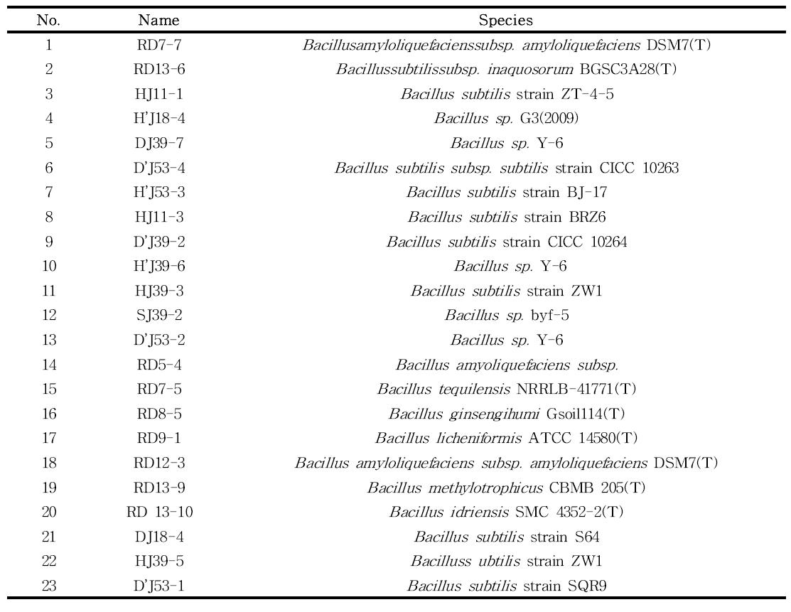 List of selected bacteria used in PCR for amine oxidase gene