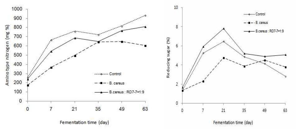 Changes of aminotype nitrogen and Reducing sugar during doenjang added RD7-7 starte