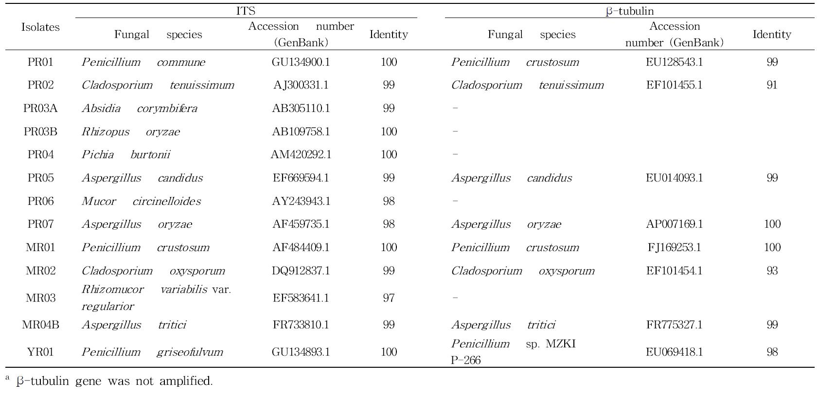 Molecular identification of fungal species isolated from rice meju by using ITS and β-tubulin gene sequences The closest match was determined by sequencing and BLASTn rescue of ITS and β-tubulin sequences in GenBank