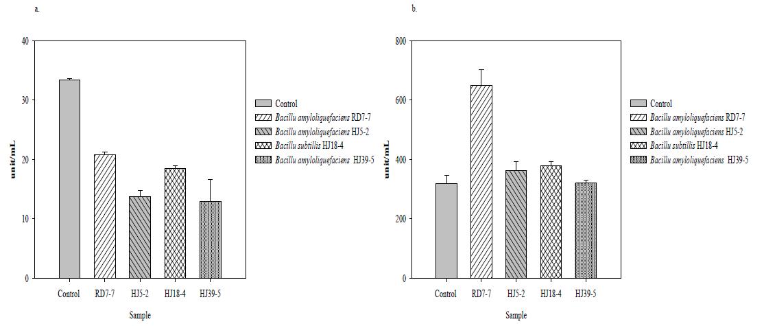 Enzyme activity of grain type meju added Bacillus sp