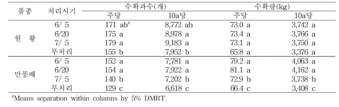 신품종 하기 전정 시기에 따른 평균 과중, 수확 과수 및 수확량(2013)