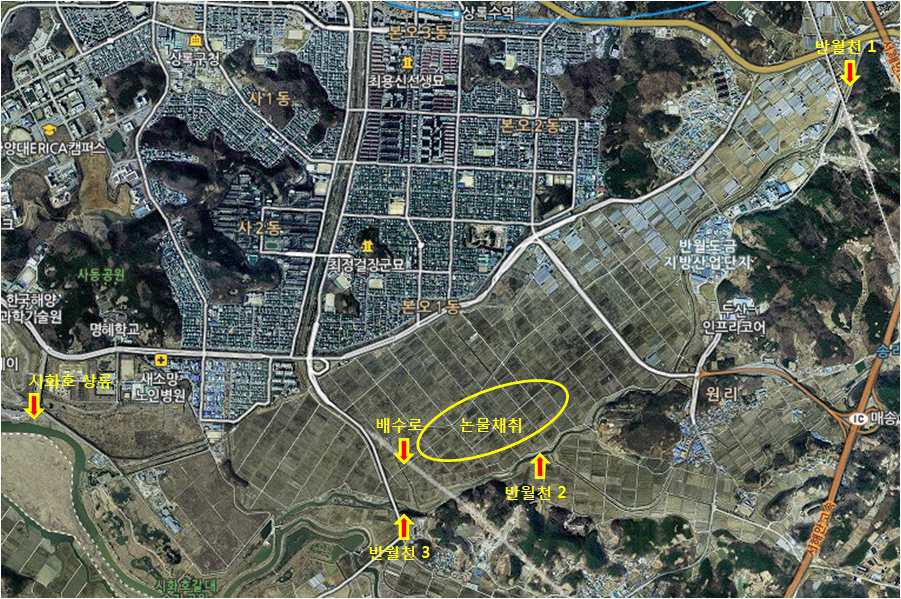 Catchment composition and the sampling sites in rice-paddy area where the pesticides aerially applied.