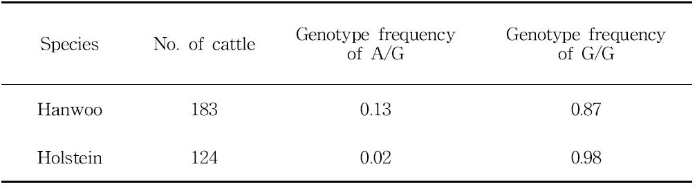 Frequency of SNP in estrogen receptor-α gene.
