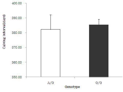 Calving interval following genotype in Hanwoo(Mean±S.E).