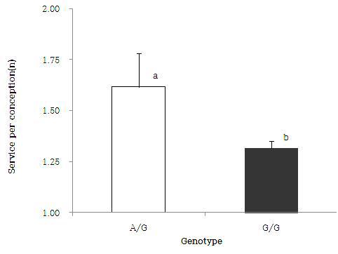 Service per conception following genotype in Hanwoo (Mean±S.E).