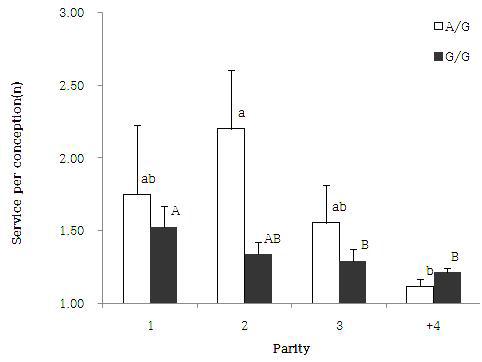 Effect of the ESR-α SNP on the service per conception in different parity(Mean±S.E).