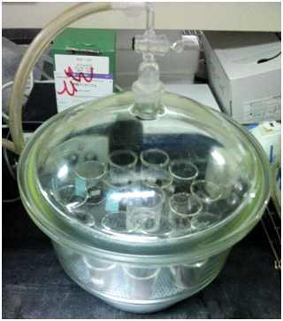 개량제 처리에 따른 미생물 활성 실험(Microbial activity experiment)