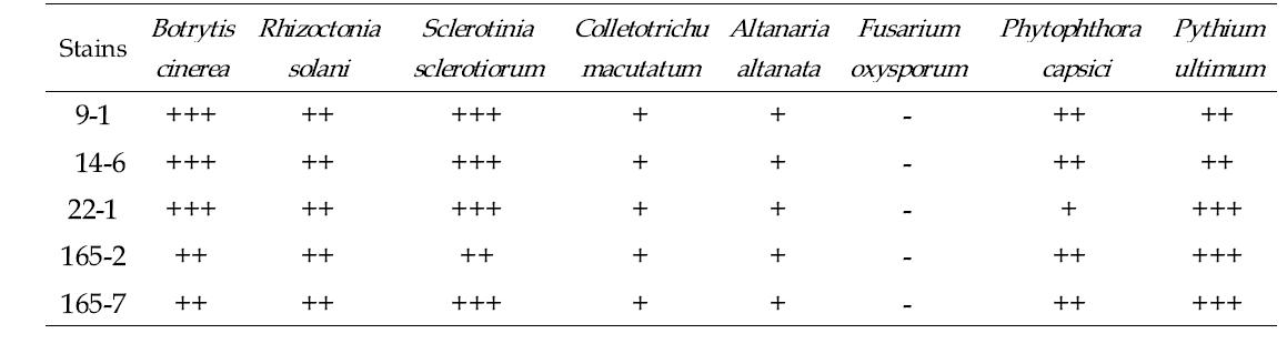 Trichoderma 선발균주 별 주요 식물병원균에 대한 항균 활성