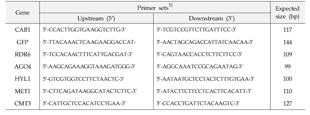 Silencing 관여 유전자의 발현량 분석을 위한 qRT-PCR 프라이머