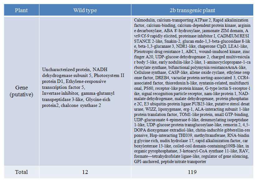 2b 형질전환체에서 3배 이상 발현이 증가된 유전자 목록