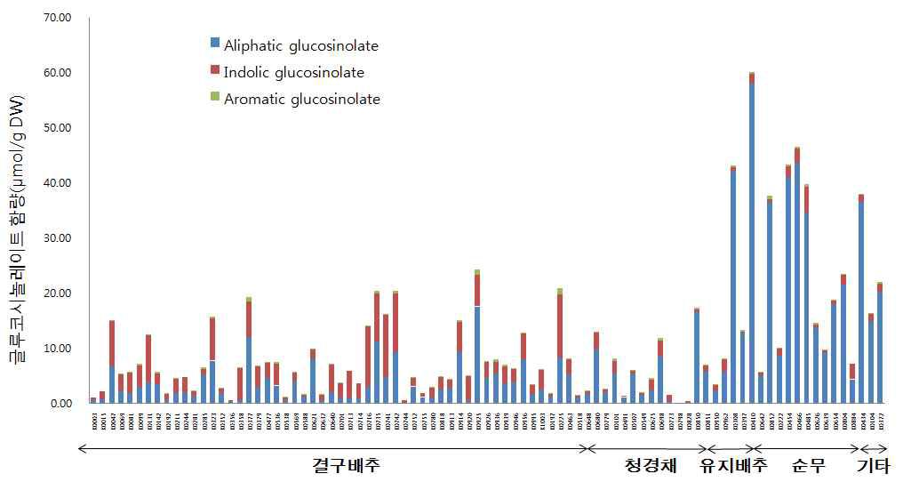 배추 99 subspecies에서 다양한 glucosinoltes 변이