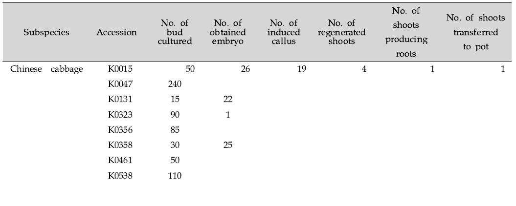 배추 핵심집단의소포자배양에의한캘러스유도및식물체재분화개수