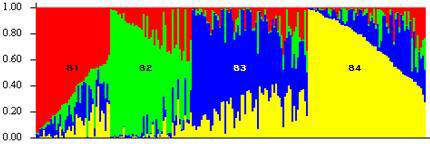 Admixed Q-matix under the assumption of