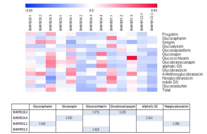 Correlation analysis between expression of BrMYB transcription factors and glucosinolate contents in B.rapa