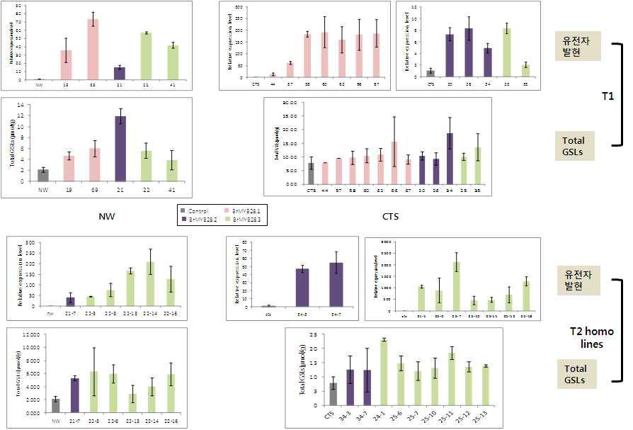 Analysis of transgene expression and total glucosinolates in transgenic plants