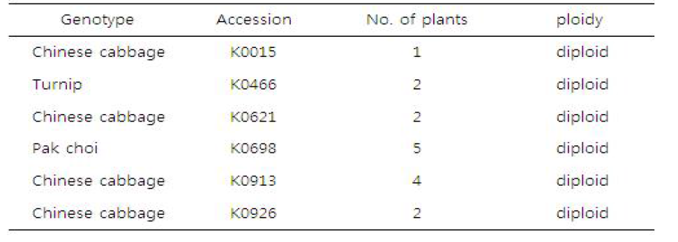 B. rapa subspecies showing diploid in DNA content by flow cytometry