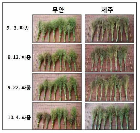 Effect of different planting dates on growth characteristics in rapeseed varieties(2013)