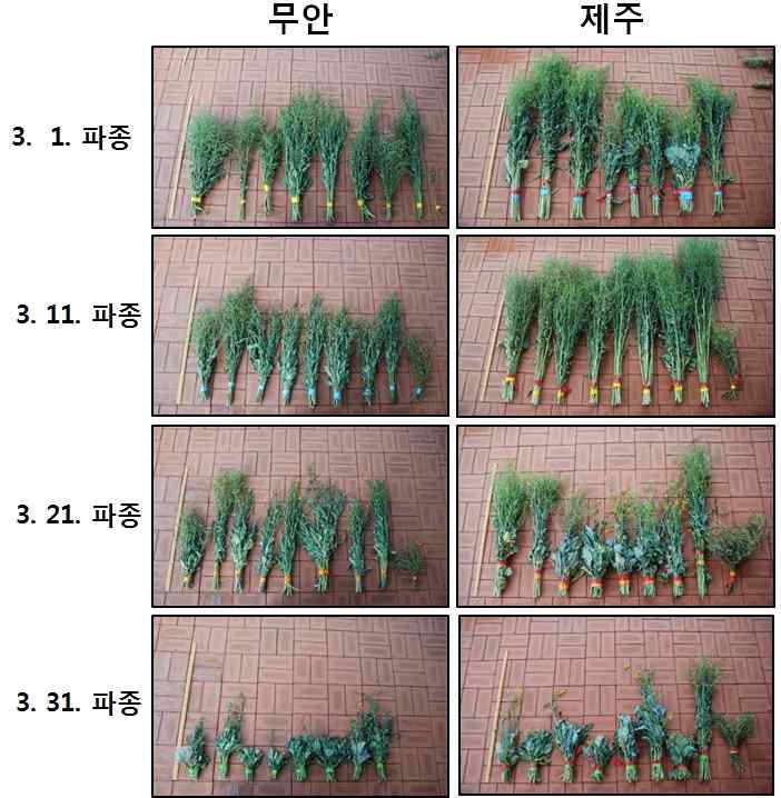 Effect of different planting dates in the spring on growth characteristics in rapeseed varieties (2014)