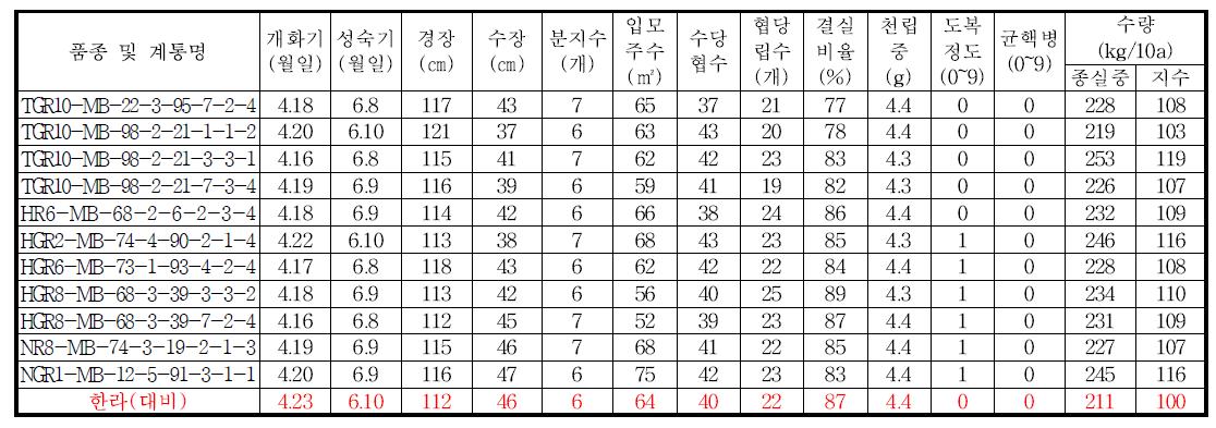 고정종 예비시험 생육 및 수량특성