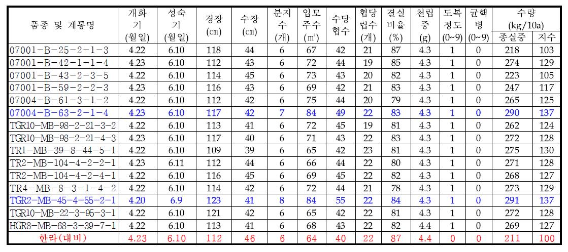 고정종 예비시험 생육 및 수량특성