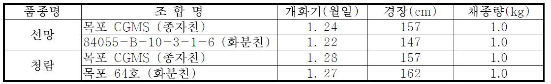 1대잡종 개화기 및 채종량