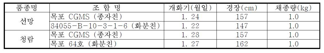 1대잡종 개화기 및 채종량