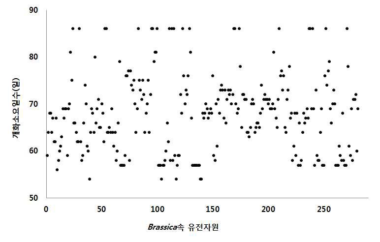 국외도입 Brassica속 유전자원(278점)의 개화소요일수 분포도