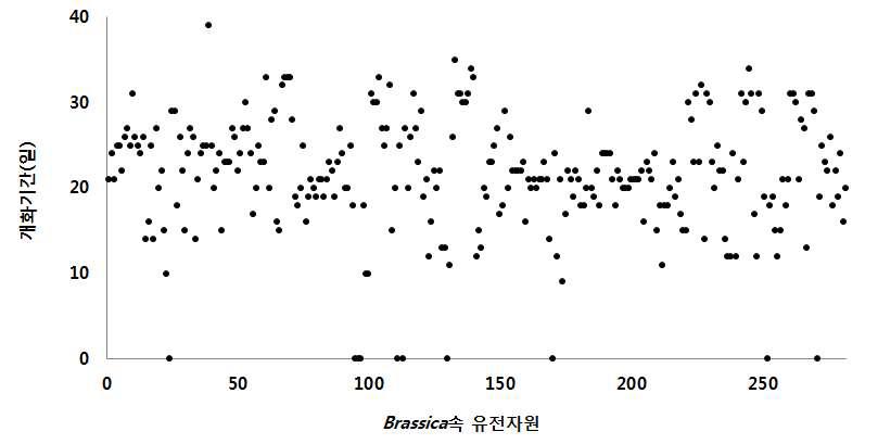 국외도입 Brassica속 유전자원(278점)의 개화기간 분포도