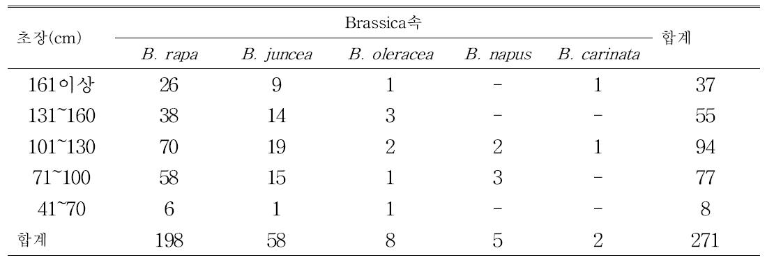 국외도입 Brassica속 유전자원(271점)의 초장