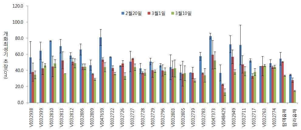 파종시기별 초장 비교