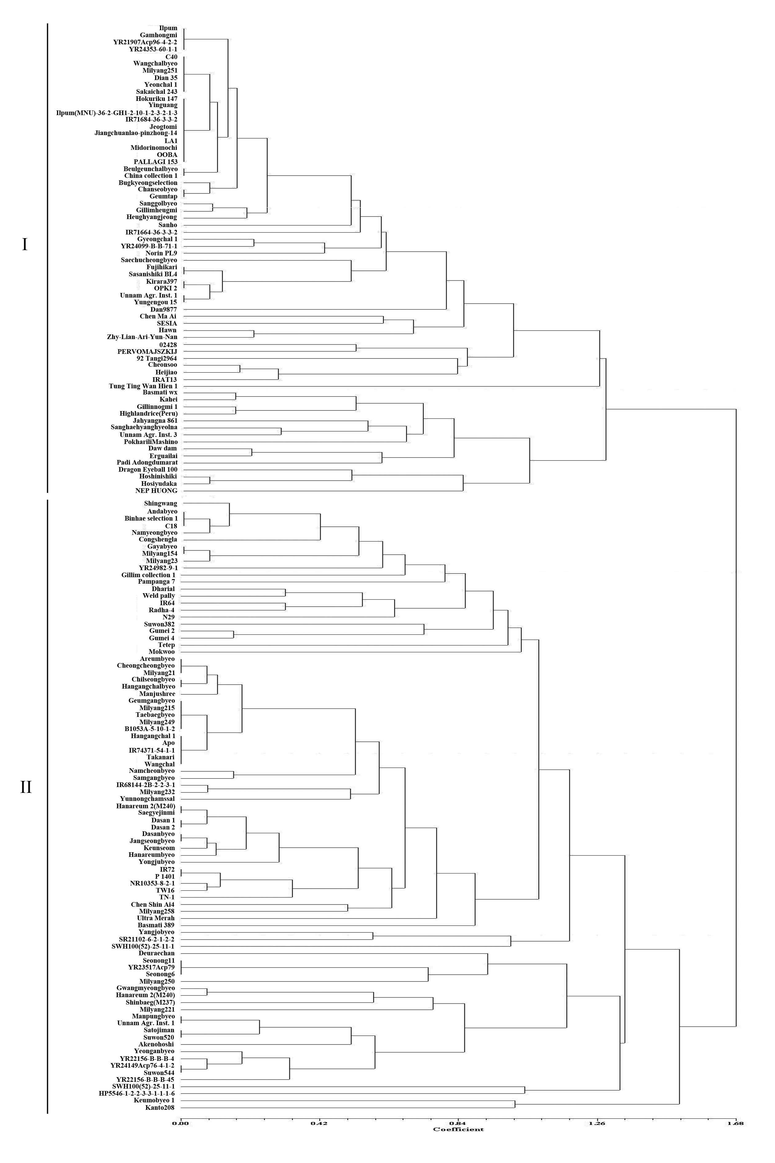 Cluster analysis of rice varieties with DNA markers near Stv-bi region.