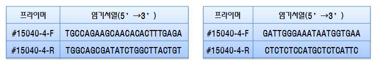 저항성 구분 프라이머 염기서열